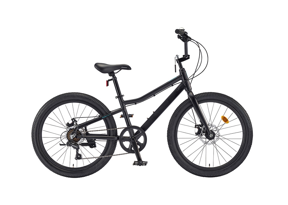 24 ������